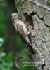 191_fotowilga~29.JPG