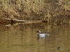 191_fotowilga~42.JPG