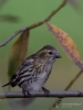 Filename=191_fotowilga~46.JPG
Filesize=239KB
Dimensions=525x700
Date added=Feb 17, 2019 191_fotowilga~46.JPG
