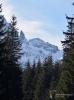 Filename=191_fotowilga~48.JPG
Filesize=317KB
Dimensions=524x700
Date added=Jun 19, 2019 191_fotowilga~48.JPG