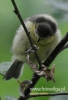 Filename=192_fotowilga~20.JPG
Filesize=69KB
Dimensions=329x480
Date added=Sep 26, 2015 192_fotowilga~20.JPG