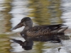 Filename=192_fotowilga~50.JPG
Filesize=308KB
Dimensions=700x525
Date added=Nov 07, 2018 192_fotowilga~50.JPG