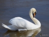 Filename=192_fotowilga~61.JPG
Filesize=216KB
Dimensions=700x525
Date added=Mar 11, 2020 192_fotowilga~61.JPG
