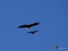 193_fotowilga~20.JPG
