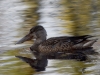 Filename=193_fotowilga~42.JPG
Filesize=285KB
Dimensions=700x525
Date added=Nov 07, 2018 193_fotowilga~42.JPG