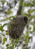 Filename=193_fotowilga~51.JPG
Filesize=252KB
Dimensions=499x700
Date added=Apr 28, 2020 193_fotowilga~51.JPG