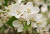 Filename=193_fotowilga~6.JPG
Filesize=111KB
Dimensions=720x493
Date added=May 17, 2014 193_fotowilga~6.JPG