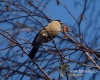 Filename=194_fotowilga~35.JPG
Filesize=96KB
Dimensions=600x480
Date added=Dec 03, 2016 194_fotowilga~35.JPG