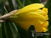 Filename=194_fotowilga~36.JPG
Filesize=91KB
Dimensions=640x480
Date added=Feb 19, 2017 194_fotowilga~36.JPG