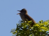 Filename=194_fotowilga~53.JPG
Filesize=241KB
Dimensions=700x525
Date added=Jun 15, 2019 194_fotowilga~53.JPG