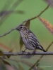 Filename=196_fotowilga~54.JPG
Filesize=231KB
Dimensions=525x700
Date added=Feb 14, 2019 196_fotowilga~54.JPG