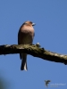 Filename=196_fotowilga~56.JPG
Filesize=178KB
Dimensions=525x700
Date added=Mar 10, 2019 196_fotowilga~56.JPG