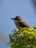 Filename=196_fotowilga~60.JPG
Filesize=246KB
Dimensions=525x700
Date added=Jun 14, 2019 196_fotowilga~60.JPG