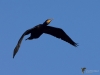 Filename=196_fotowilga~61.JPG
Filesize=218KB
Dimensions=700x525
Date added=Jun 24, 2019 196_fotowilga~61.JPG