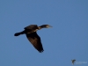 Filename=197_fotowilga~49.JPG
Filesize=214KB
Dimensions=700x525
Date added=Dec 01, 2019 197_fotowilga~49.JPG