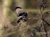 Filename=198_fotowilga~35.JPG
Filesize=87KB
Dimensions=640x480
Date added=Feb 13, 2017 198_fotowilga~35.JPG
