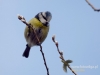 Filename=198_fotowilga~37.JPG
Filesize=49KB
Dimensions=640x480
Date added=Mar 04, 2017 198_fotowilga~37.JPG