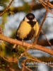 Filename=198_fotowilga~46.JPG
Filesize=64KB
Dimensions=360x480
Date added=Sep 03, 2017 198_fotowilga~46.JPG