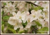 Filename=198_fotowilga~9.JPG
Filesize=128KB
Dimensions=720x504
Date added=May 15, 2014 198_fotowilga~9.JPG