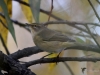 Filename=199_fotowilga~55.JPG
Filesize=264KB
Dimensions=700x525
Date added=Feb 21, 2019 199_fotowilga~55.JPG