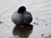 Filename=199_fotowilga~58.JPG
Filesize=227KB
Dimensions=700x525
Date added=May 10, 2019 199_fotowilga~58.JPG