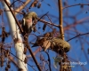 Filename=200_fotowilga~30.JPG
Filesize=99KB
Dimensions=600x480
Date added=Nov 25, 2016 200_fotowilga~30.JPG