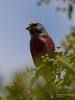 Filename=200_fotowilga~51.JPG
Filesize=251KB
Dimensions=525x700
Date added=Jul 07, 2019 200_fotowilga~51.JPG