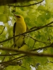 Filename=201_fotowilga~36.JPG
Filesize=311KB
Dimensions=525x700
Date added=May 08, 2017 201_fotowilga~36.JPG
