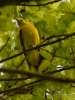Filename=202_fotowilga~35.JPG
Filesize=295KB
Dimensions=525x700
Date added=May 08, 2017 202_fotowilga~35.JPG