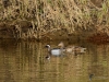 202_fotowilga~43.JPG