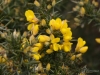 Filename=202_fotowilga~45.JPG
Filesize=279KB
Dimensions=700x525
Date added=Jun 05, 2019 202_fotowilga~45.JPG