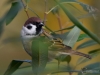 Filename=202_fotowilga~49.JPG
Filesize=248KB
Dimensions=700x525
Date added=Dec 09, 2019 202_fotowilga~49.JPG