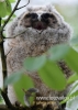 Filename=203_fotowilga~28.JPG
Filesize=62KB
Dimensions=343x480
Date added=Nov 14, 2016 203_fotowilga~28.JPG