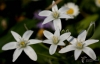 Filename=203_fotowilga~38.JPG
Filesize=180KB
Dimensions=700x450
Date added=May 24, 2017 203_fotowilga~38.JPG