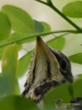 Filename=203_fotowilga~49.JPG
Filesize=236KB
Dimensions=525x700
Date added=Mar 25, 2019 203_fotowilga~49.JPG