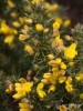 Filename=203_fotowilga~53.JPG
Filesize=274KB
Dimensions=525x700
Date added=Jun 05, 2019 203_fotowilga~53.JPG