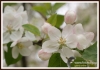 Filename=203_fotowilga~6.JPG
Filesize=265KB
Dimensions=720x505
Date added=Aug 10, 2014 203_fotowilga~6.JPG