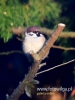 Filename=204_fotowilga~38.JPG
Filesize=55KB
Dimensions=360x480
Date added=May 04, 2017 204_fotowilga~38.JPG