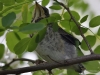 Filename=204_fotowilga~52.JPG
Filesize=259KB
Dimensions=700x525
Date added=Mar 26, 2019 204_fotowilga~52.JPG