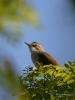 Filename=204_fotowilga~54.JPG
Filesize=229KB
Dimensions=525x700
Date added=Jun 12, 2019 204_fotowilga~54.JPG