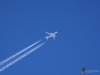 Filename=204_fotowilga~55.JPG
Filesize=217KB
Dimensions=700x525
Date added=Dec 03, 2019 204_fotowilga~55.JPG