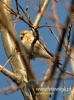 Filename=205_fotowilga~18.JPG
Filesize=87KB
Dimensions=357x480
Date added=Dec 29, 2015 205_fotowilga~18.JPG