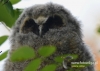 Filename=205_fotowilga~25.JPG
Filesize=76KB
Dimensions=640x457
Date added=Jul 10, 2016 205_fotowilga~25.JPG