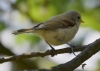 Filename=205_fotowilga~38.JPG
Filesize=204KB
Dimensions=700x500
Date added=Sep 21, 2017 205_fotowilga~38.JPG