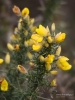 Filename=205_fotowilga~46.JPG
Filesize=248KB
Dimensions=525x700
Date added=Jun 05, 2019 205_fotowilga~46.JPG