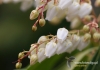 Filename=205_fotowilga~6.JPG
Filesize=268KB
Dimensions=720x508
Date added=Aug 04, 2014 205_fotowilga~6.JPG