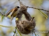 Filename=206_fotowilga~33.JPG
Filesize=82KB
Dimensions=640x480
Date added=Apr 10, 2017 206_fotowilga~33.JPG