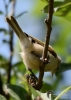 Filename=206_fotowilga~37.JPG
Filesize=217KB
Dimensions=499x700
Date added=Jun 18, 2017 206_fotowilga~37.JPG