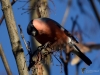 Filename=206_fotowilga~42.JPG
Filesize=252KB
Dimensions=700x525
Date added=Apr 01, 2018 206_fotowilga~42.JPG