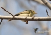 Filename=206_fotowilga~9.JPG
Filesize=256KB
Dimensions=720x508
Date added=Jul 16, 2014 206_fotowilga~9.JPG